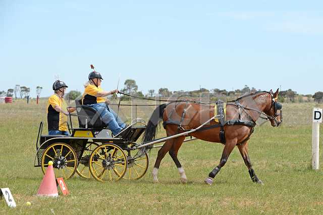 K210_1687.JPG - Photo by KANGRA