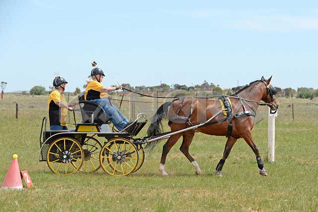 K210_1690.JPG - Photo by KANGRA