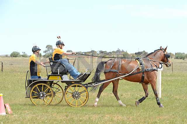 K210_1691.JPG - Photo by KANGRA