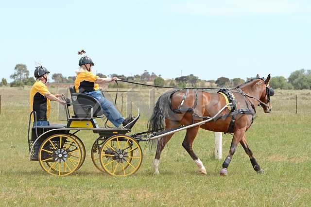 K210_1694.JPG - Photo by KANGRA