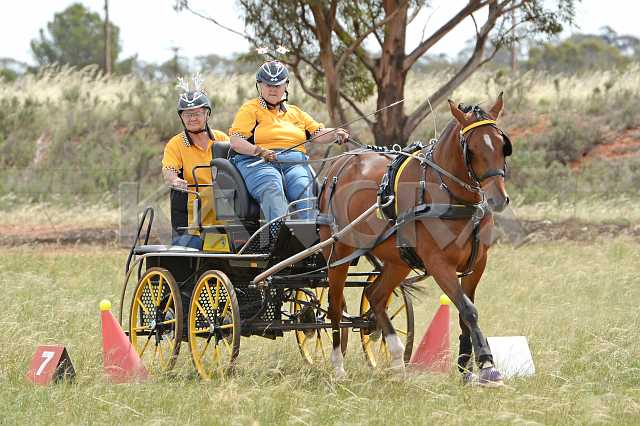 K210_1697.JPG - Photo by KANGRA