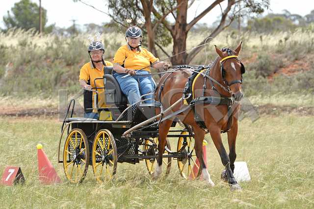 K210_1698.JPG - Photo by KANGRA