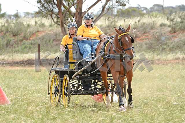 K210_1704.JPG - Photo by KANGRA