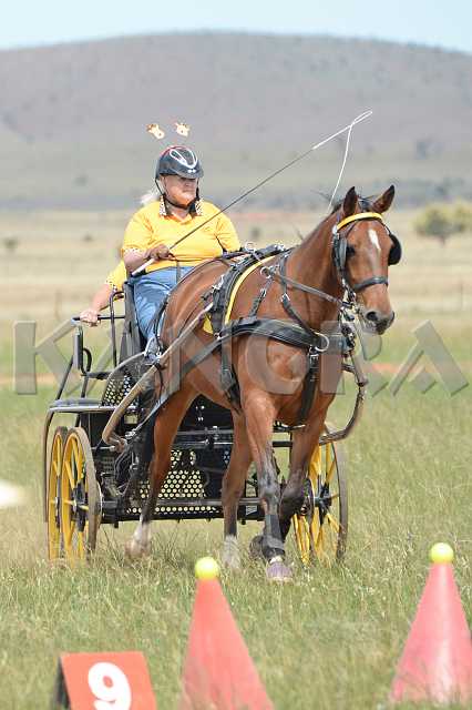 K210_1705.JPG - Photo by KANGRA