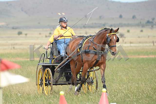 K210_1708.JPG - Photo by KANGRA