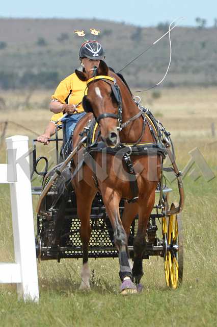 K210_1712.JPG - Photo by KANGRA