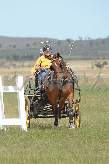 K210_1715.JPG - Photo by KANGRA