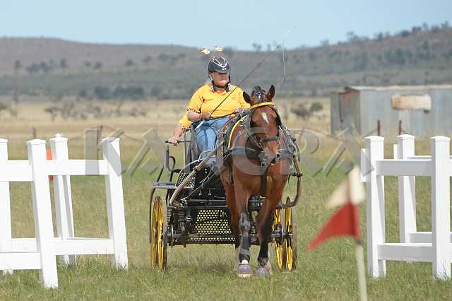 K210_1716.JPG - Photo by KANGRA