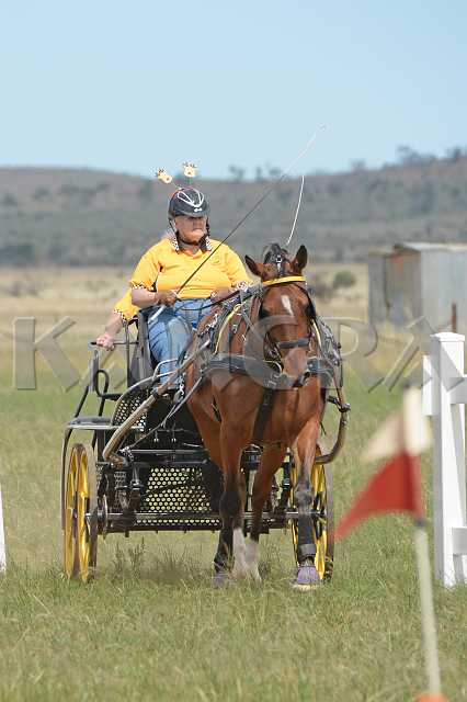 K210_1719.JPG - Photo by KANGRA