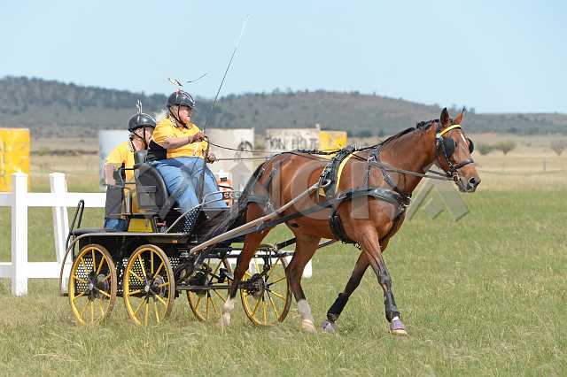 K210_1722.JPG - Photo by KANGRA