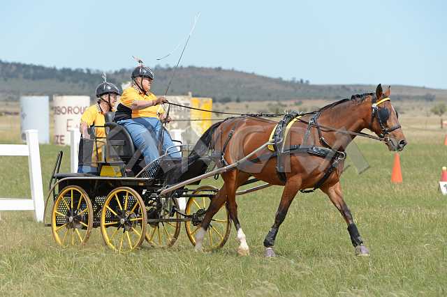 K210_1725.JPG - Photo by KANGRA