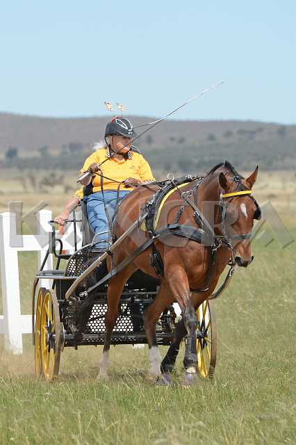 K210_1727.JPG - Photo by KANGRA