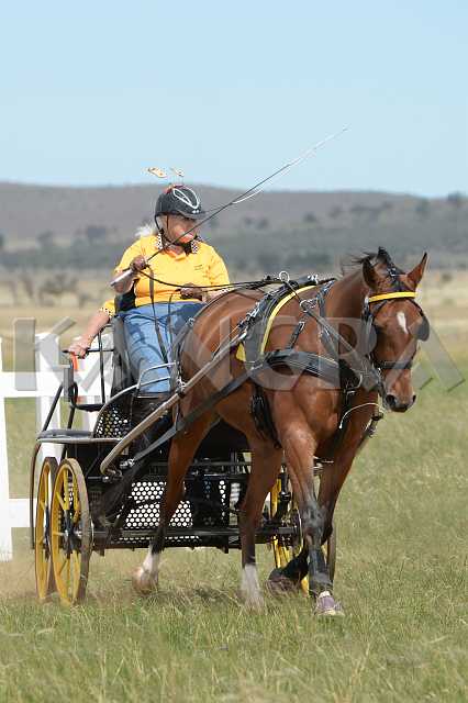 K210_1728.JPG - Photo by KANGRA