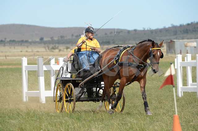 K210_1731.JPG - Photo by KANGRA