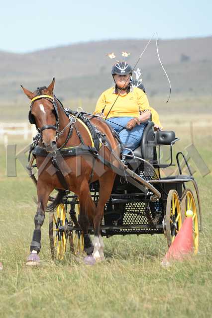 K210_1735.JPG - Photo by KANGRA