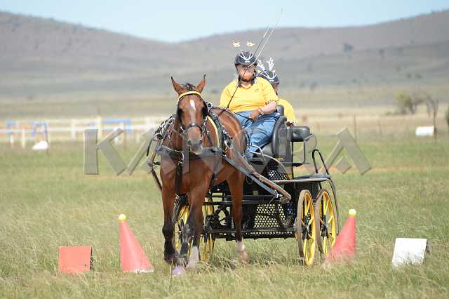 K210_1739.JPG - Photo by KANGRA