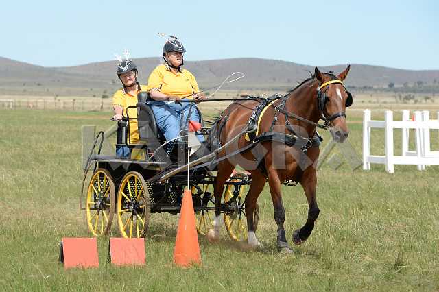 K210_1742.JPG - Photo by KANGRA