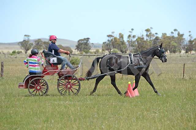 K210_1202.JPG - Photo by KANGRA