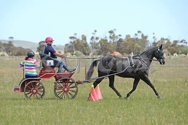 K210_1205.JPG - Photo by KANGRA