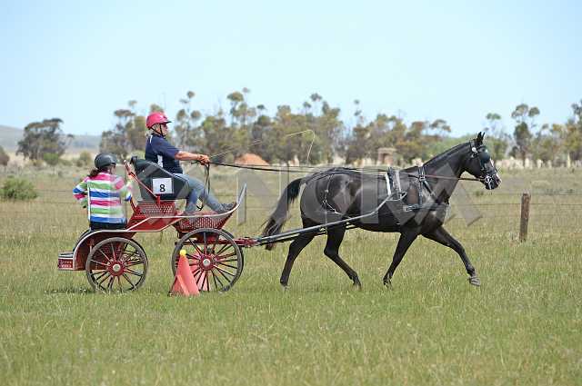 K210_1208.JPG - Photo by KANGRA