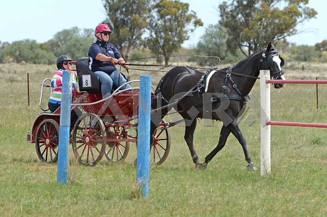 K210_1209.JPG - Photo by KANGRA