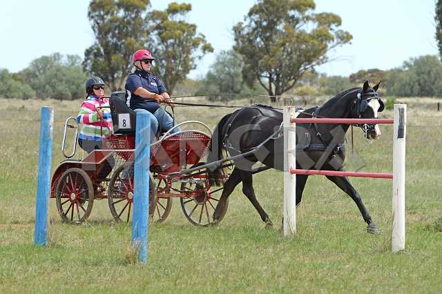 K210_1212.JPG - Photo by KANGRA