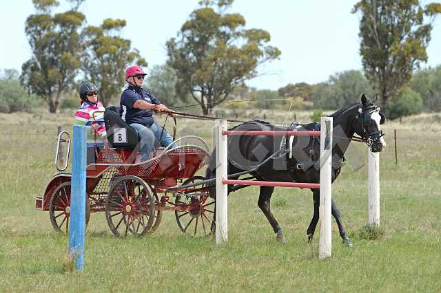 K210_1215.JPG - Photo by KANGRA