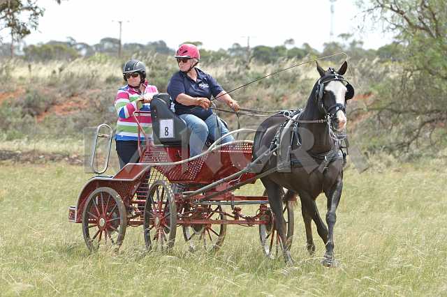 K210_1222.JPG - Photo by KANGRA