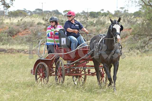 K210_1223.JPG - Photo by KANGRA