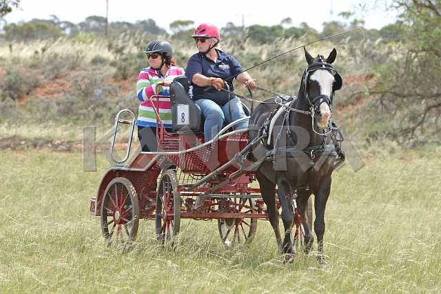 K210_1224.JPG - Photo by KANGRA