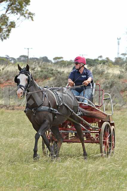 K210_1227.JPG - Photo by KANGRA