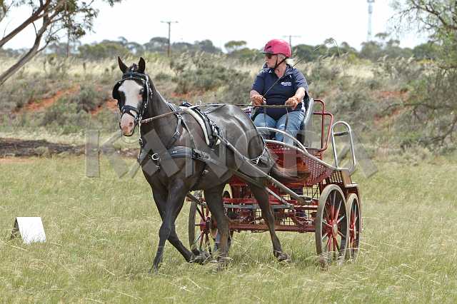 K210_1228.JPG - Photo by KANGRA