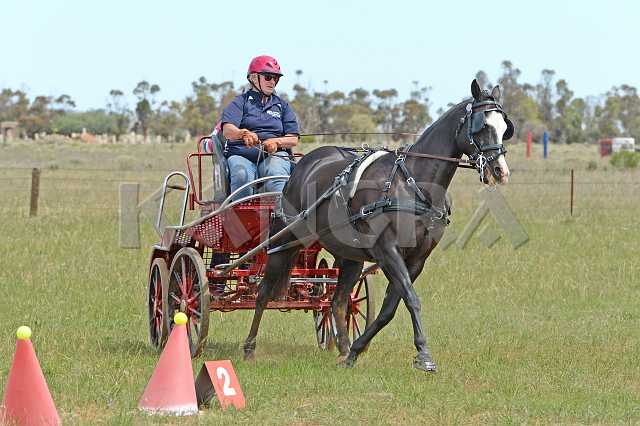 K210_1234.JPG - Photo by KANGRA