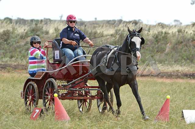 K210_1241.JPG - Photo by KANGRA