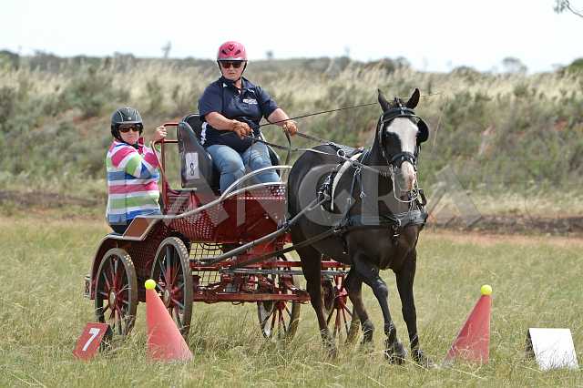 K210_1243.JPG - Photo by KANGRA