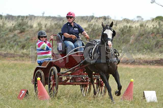 K210_1245.JPG - Photo by KANGRA