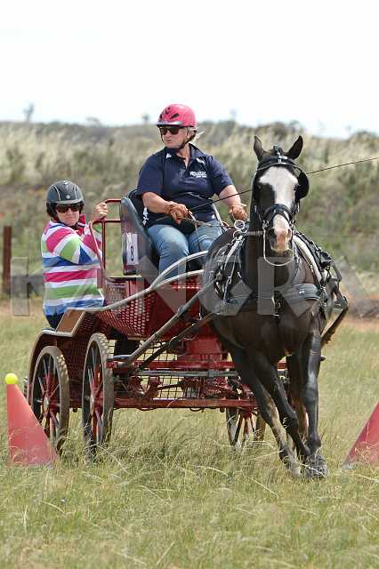 K210_1247.JPG - Photo by KANGRA