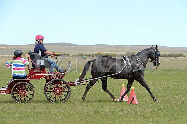 K210_1250.JPG - Photo by KANGRA