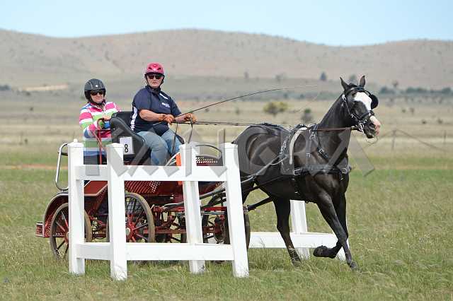 K210_1256.JPG - Photo by KANGRA