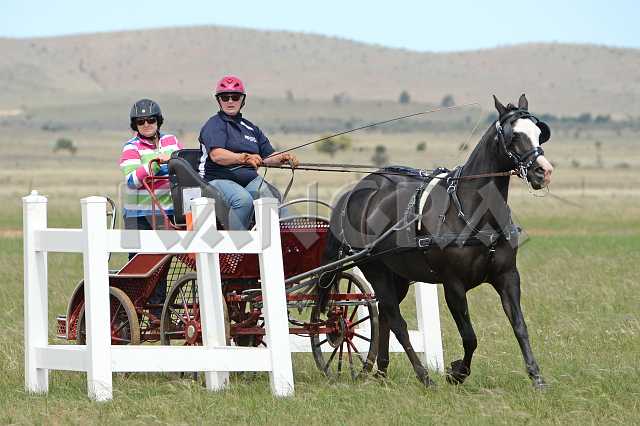 K210_1259.JPG - Photo by KANGRA