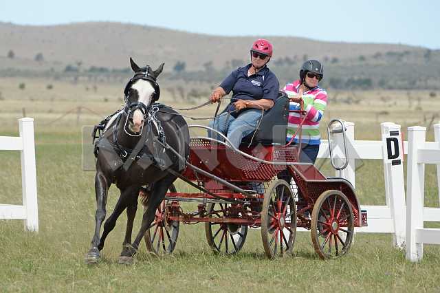 K210_1265.JPG - Photo by KANGRA