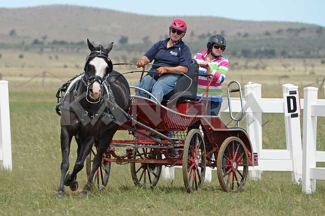 K210_1266.JPG - Photo by KANGRA