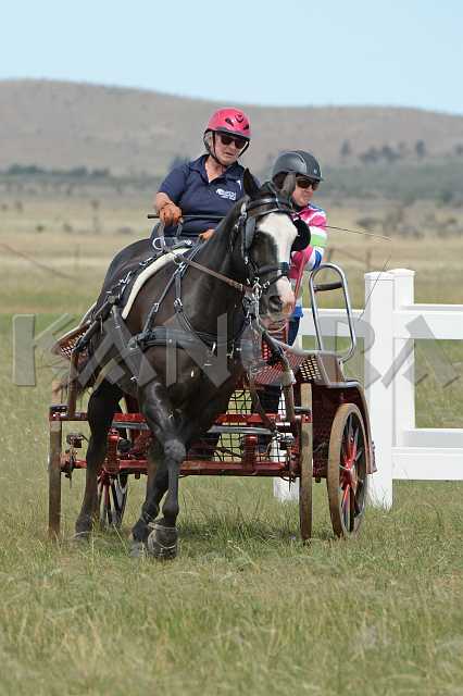 K210_1271.JPG - Photo by KANGRA