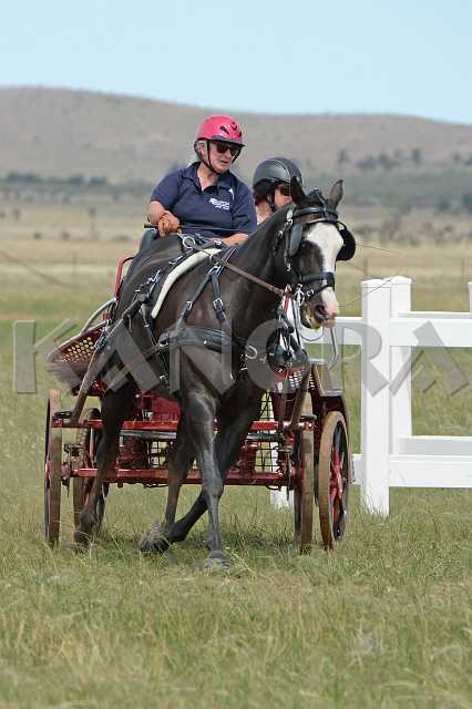 K210_1272.JPG - Photo by KANGRA