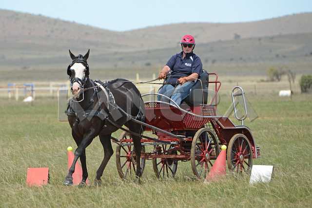 K210_1277.JPG - Photo by KANGRA