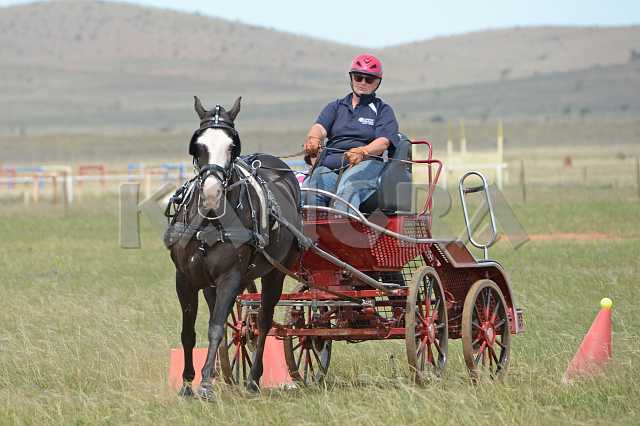 K210_1284.JPG - Photo by KANGRA