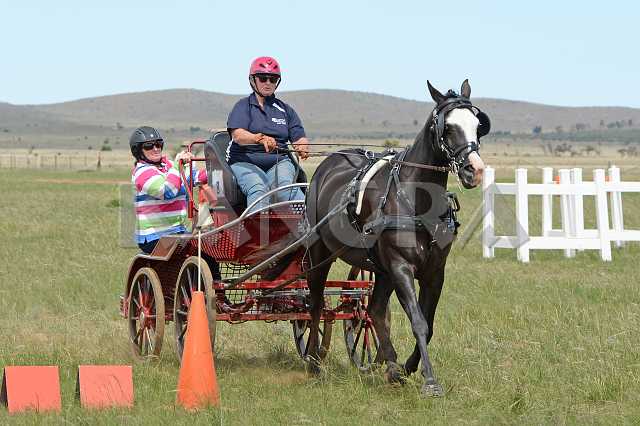 K210_1285.JPG - Photo by KANGRA