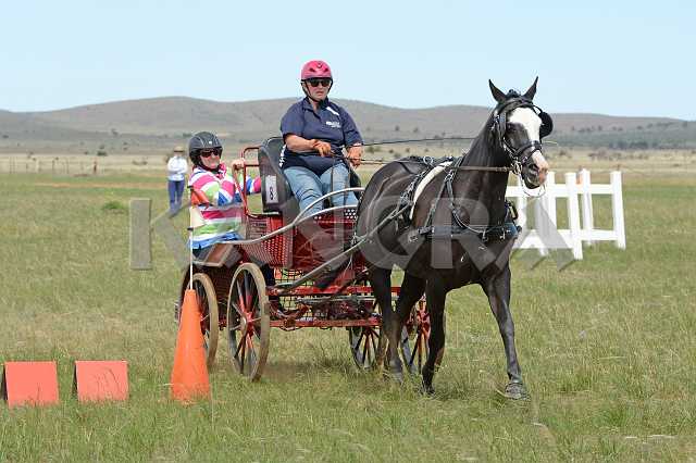 K210_1288.JPG - Photo by KANGRA