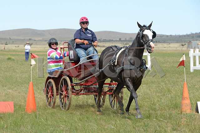 K210_1291.JPG - Photo by KANGRA