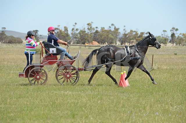 K210_1753.JPG - Photo by KANGRA